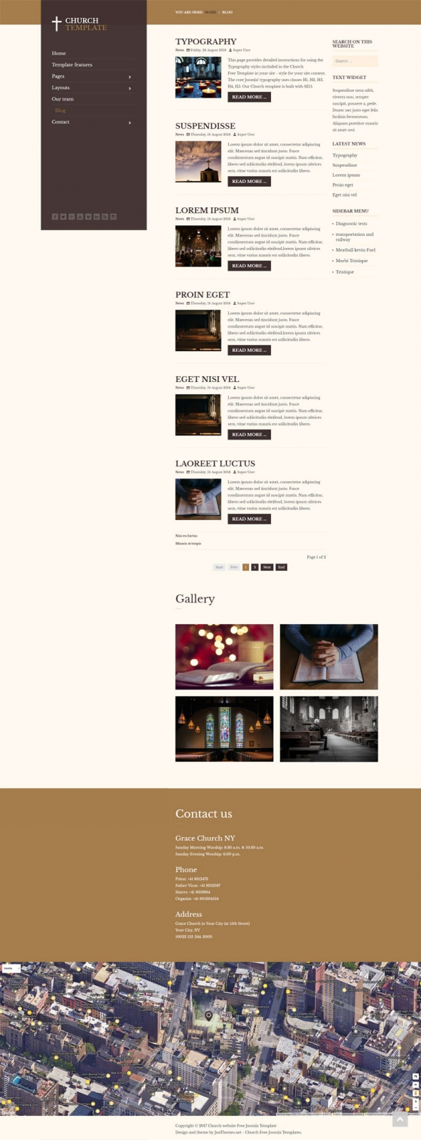 Blog category Joomla layout.
